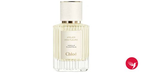 chloe vanilla|floral vanilla scent.